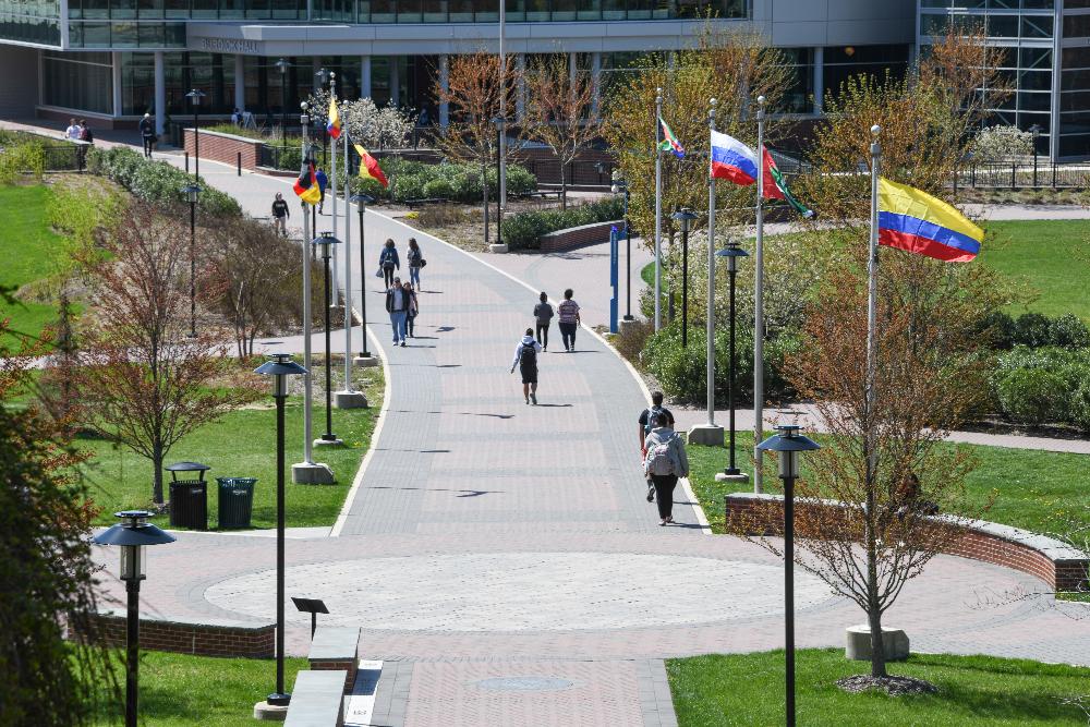 Tiger Plaza Intl Flags